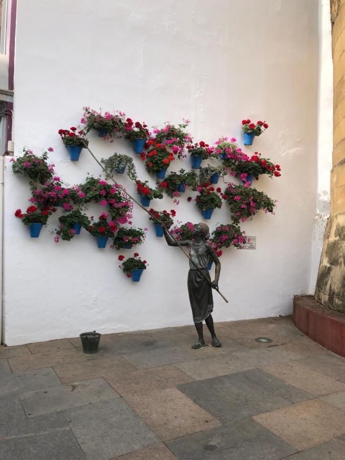 La Regaora Apartamento Córdoba Exterior foto